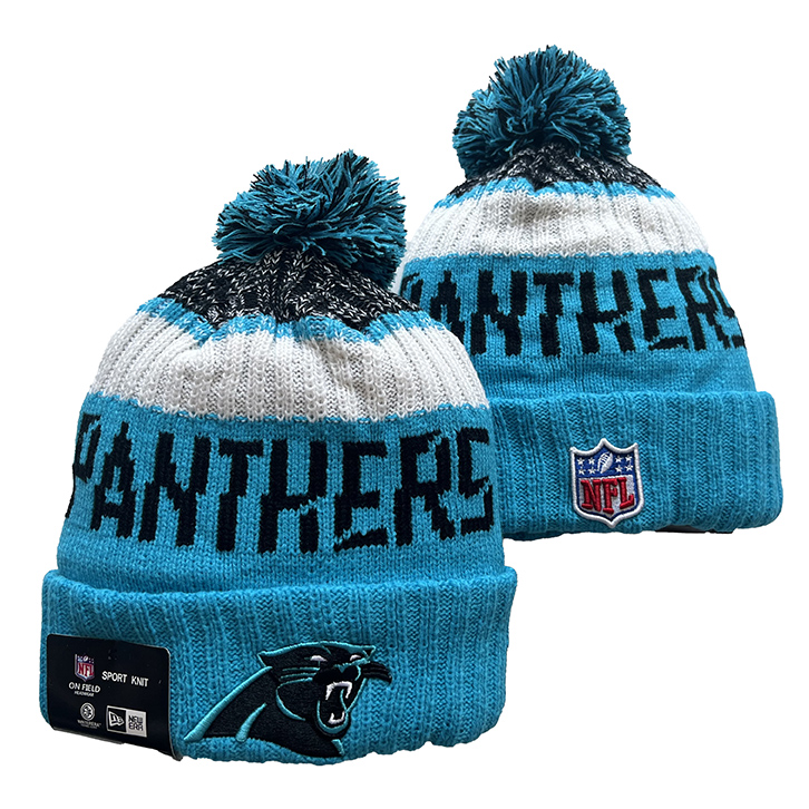 Carolina Panthers 2025 Knit Hats 016